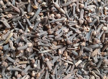 black-clove-globexia-nigeria-latest-2-scaled