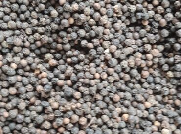 black-pepper-globexia-nigeria-latest-14-scaled