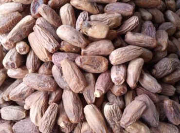 dry-dates-globexia-nigeria-latest-3