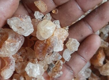 gum-arabic-globexia-nigeria-latest-4-scaled