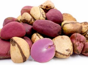 kolanut-4