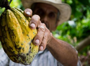 pexels-pixabay-50707