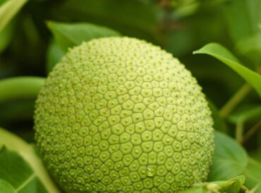 pexels-thongtran95-13771226